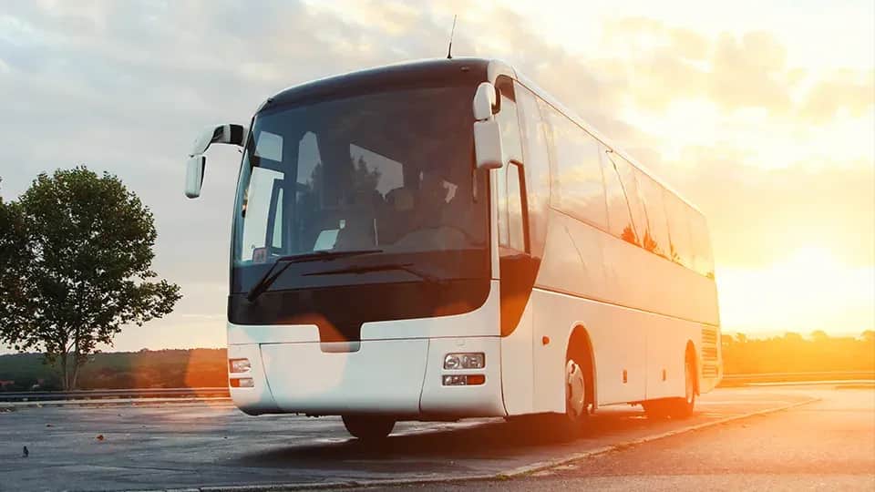 Autokar ile miejsc siedzących? Poznaj różnice między modelami