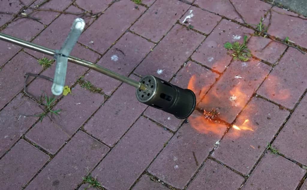 Skuteczne sposoby na usunięcie trawy z chodnika bez chemii