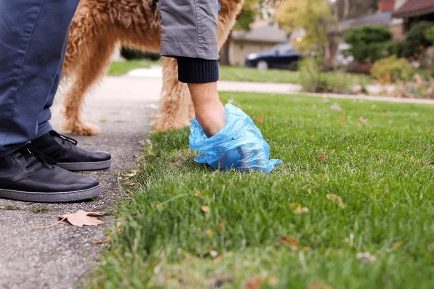 Kiedy nie trzeba sprzątać chodnika? Poznaj ważne przepisy prawne
